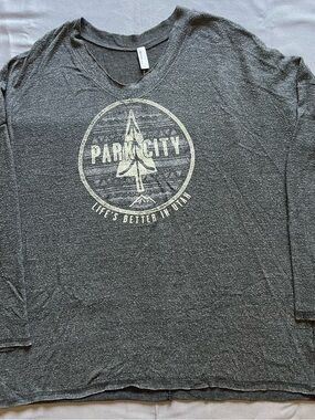 Women's Park City Graphic Long Sleeve Tee - Gray